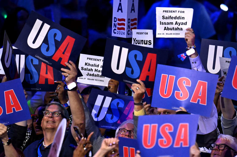 DNC Vote on Israel Arms Embargo May Set Democratic Party’s Course on Palestine