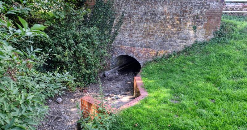 Improvements pledged after river through Norfolk village runs dry