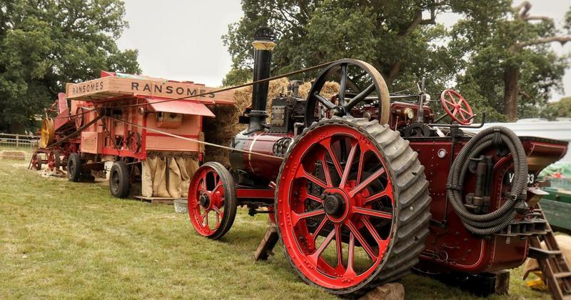 Step back in time to a 1930s harvest at Strumpshaw Trosh