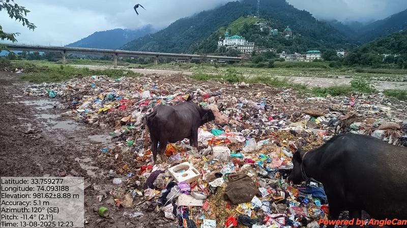 Waste Piles Up While Wars Take the Blame