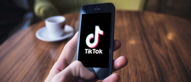 BRILYN HOLLYHAND: White House Joins TikTok