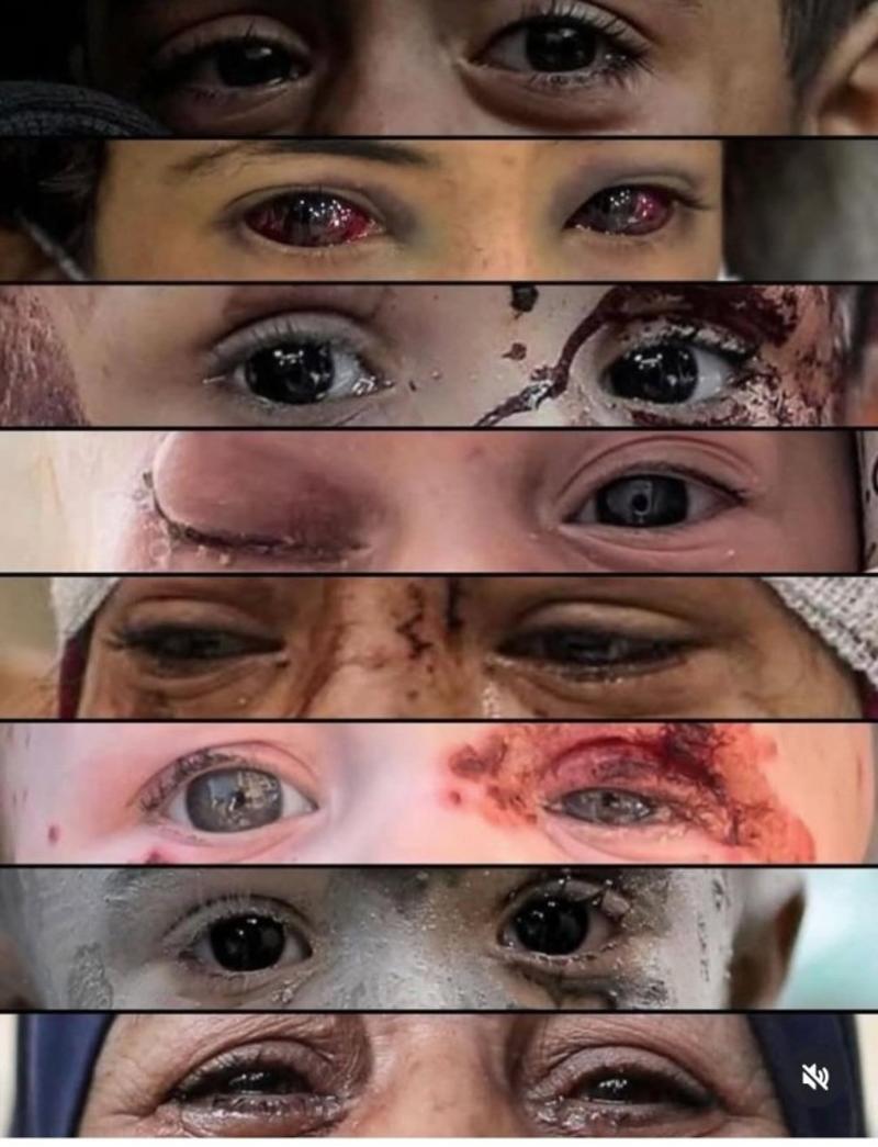 Siz hiç bu kadar güzel bakan gözler gördünüz mü?