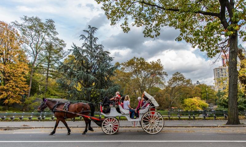 Readers sound off on stables real estate, online dangers and bikes on the boardwalk