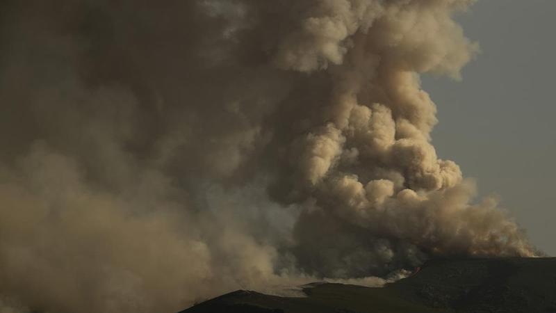 Las recetas del rural gallego contra los incendios: más incentivos, más ganaderos y montes mosaico