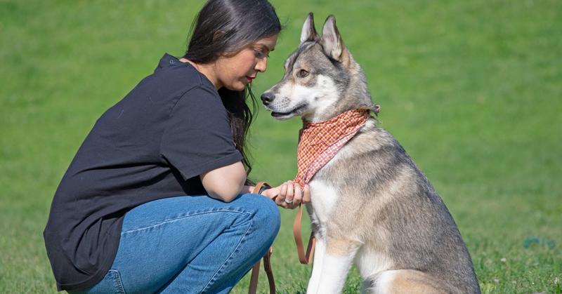 Beyond Pets: Recognizing Animals as Beings With Rights