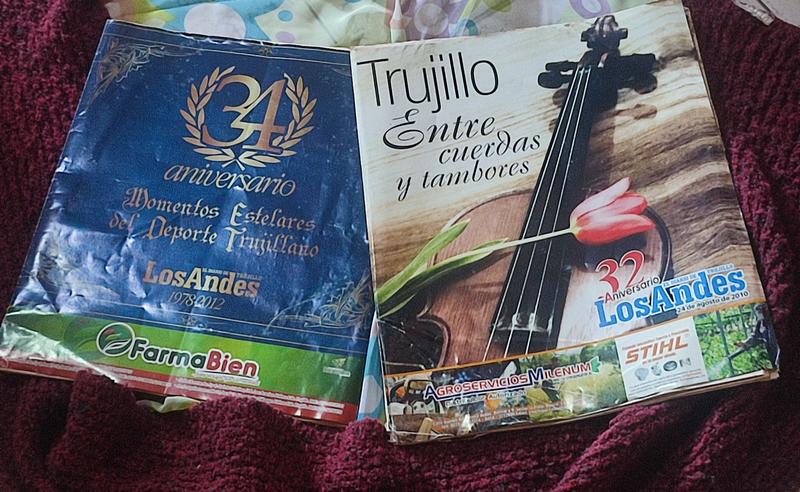 Diario de Los Andes | Ética, sentido de servicio, participación ciudadana | Por: María Sara Vivas Araujo