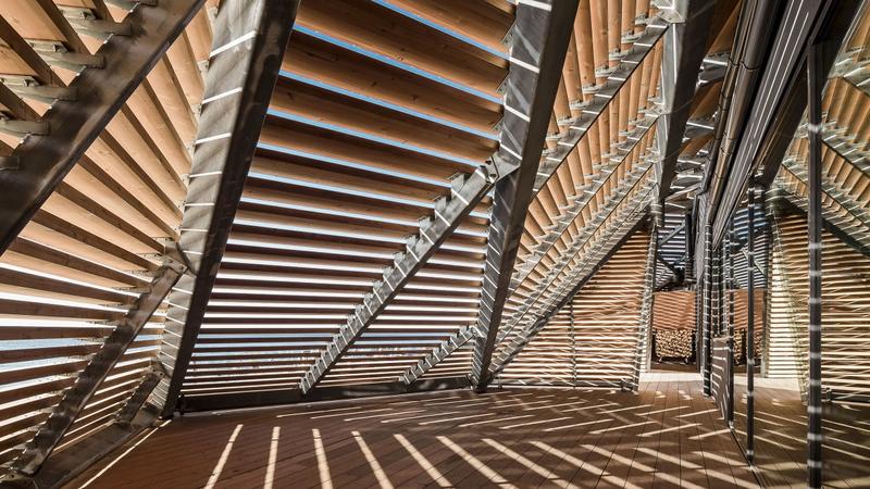 Ausstellung | Bauen für die Zukunft: Wände aus Pilzen