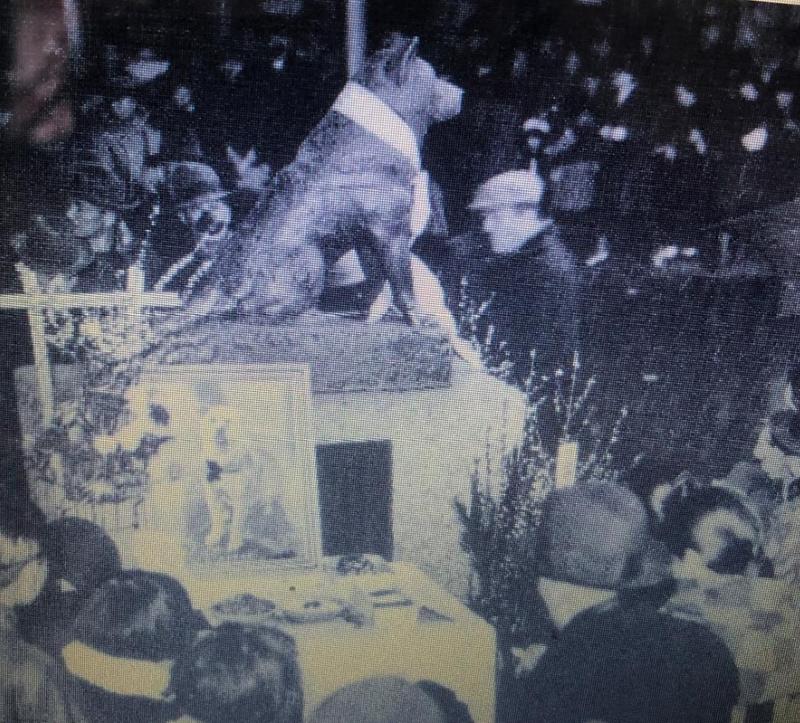 Aşkın, sadakatin sembolü köpekler