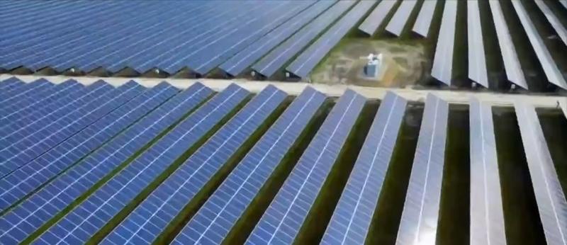 DAVID BLACKMON: Solar, Wind Might Not Be Totally Dead Under Trump
