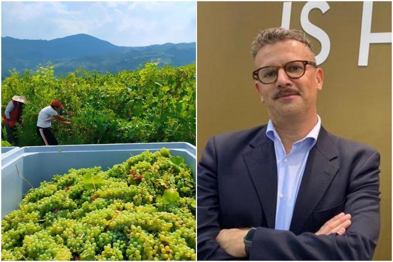 Vendemmia, buona la prima: 