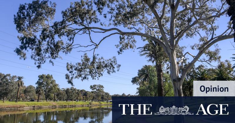 My mansion-lined suburb’s a little bit posh – but we also have a notorious underbelly