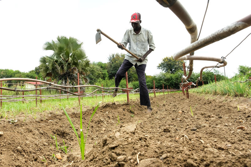 Africa Is Ready for a Food Systems Revolution | Opinion