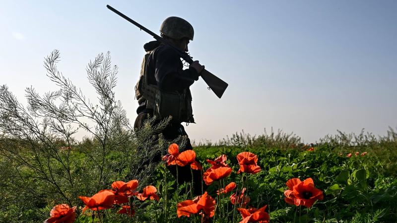 UN-Blauhelme in der Ukraine: Peace Keeping, nicht Peace Enforcement