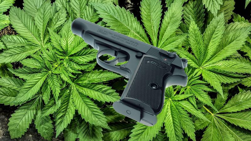 The 11th Circuit Revives a Constitutional Challenge to the Federal Law That Disarms Medical Marijuana Patients