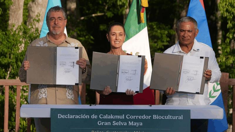 La bioculturalidad de los mayas peninsulares: ¿ficción o realidad?