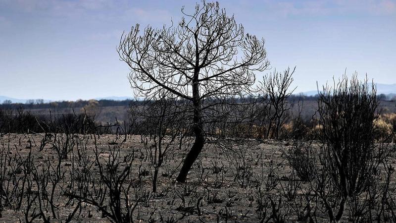 Última hora de los incendios en España: Castilla y León mantiene activos 18 fuegos, 10 graves, con reproducciones por el viento