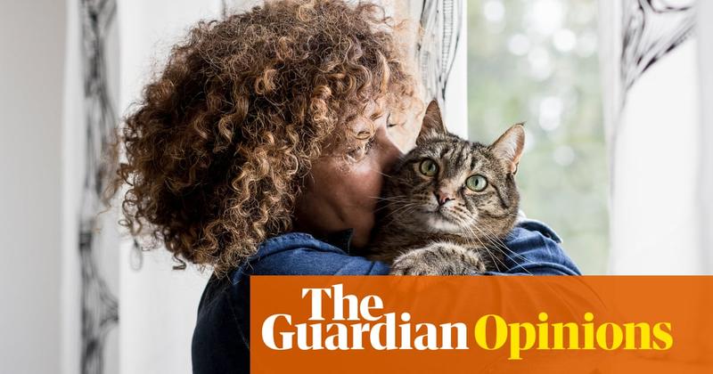 Why do cats love middle-aged women so much?