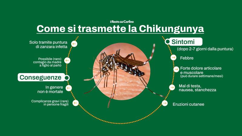 Chikungunya, il reportage dal paese romagnolo dove tutto cominciò nel 2007