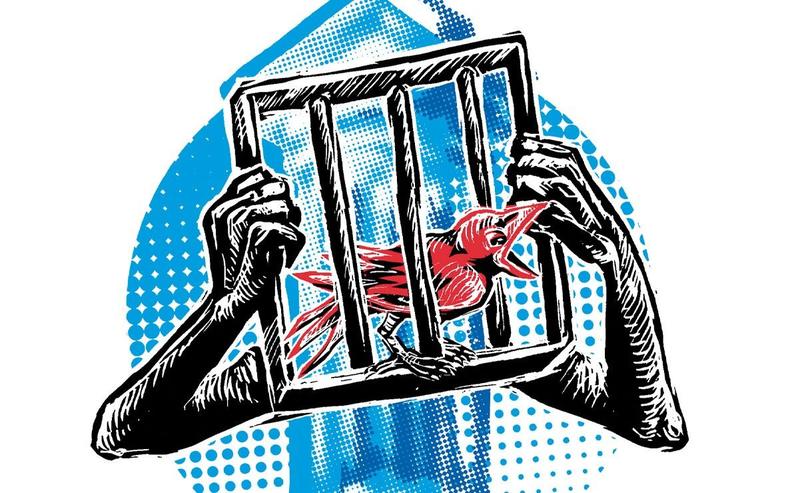 El Mayo pagó sobornos hasta 2024: ¿hoy cuántos dormirán tranquilos?