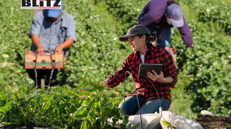 Exploited in the fields women migrant farm workers face abuse and insecurity