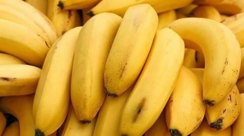 Banana exports in jeopardy