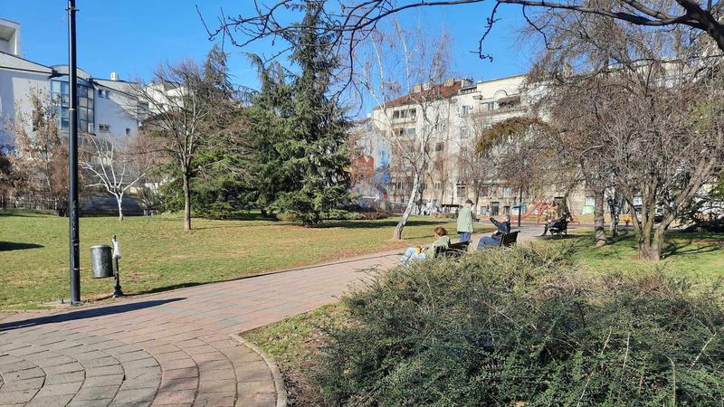 Profesor Šumarskog fakulteta upozorio: Za dve decenije Beograd izgubio 10 odsto zelenila