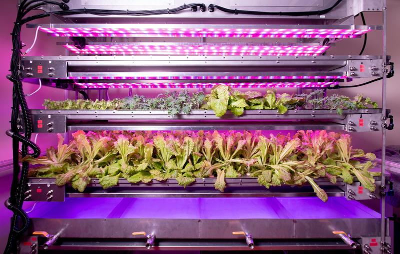 Why grow plants in space? They can improve how we produce food and medicine on Earth