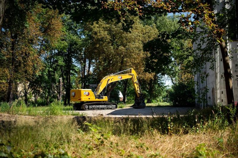 Berlin opfert seine Bäume: Rettet den Plänterwald – bevor es zu spät ist!