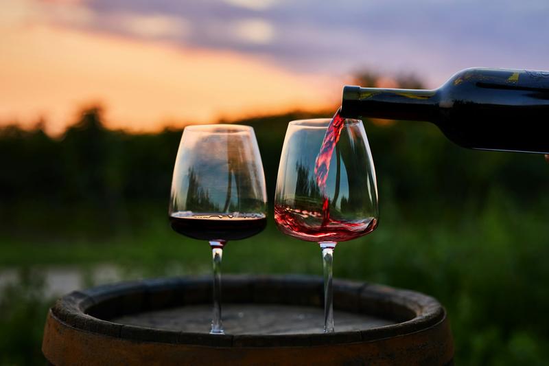 Finding the parents of Cabernet Sauvignon and Chardonnay: how DNA analysis can trace a wine’s genetic origins