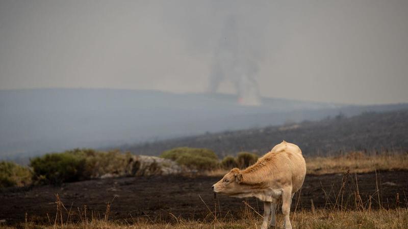 La crisis climática ya pasa factura al campo español, que cada año pierde unos 550 millones de euros