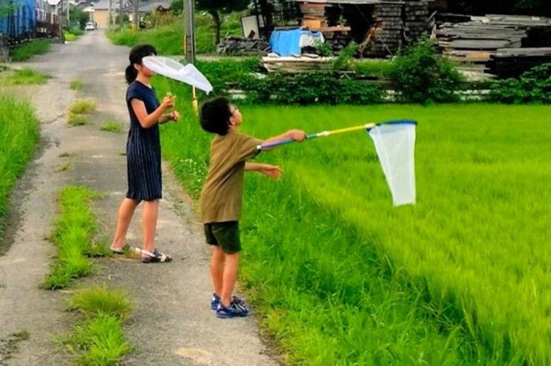 VOX POPULI: Has climate change brought a 'silent summer' to Japan?