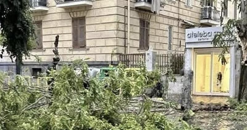 Nei vicoli del Vomero perdura la crisi del verde pubblico