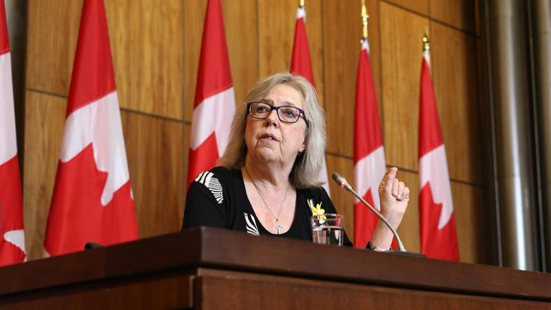 The Greens will need more than Elizabeth May to survive