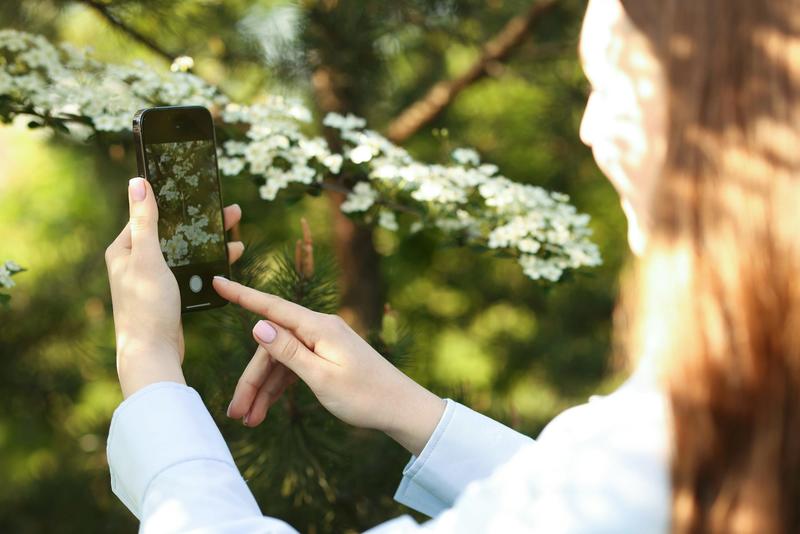 Phones and other tech can enhance teens’ connection to nature