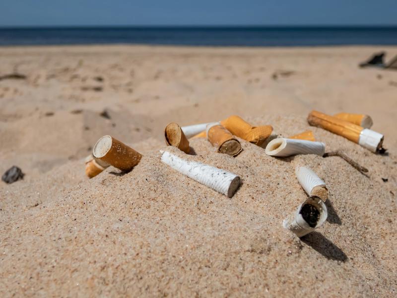Cigarette filters do nothing for smokers’ health and just create plastic pollution – they should be banned