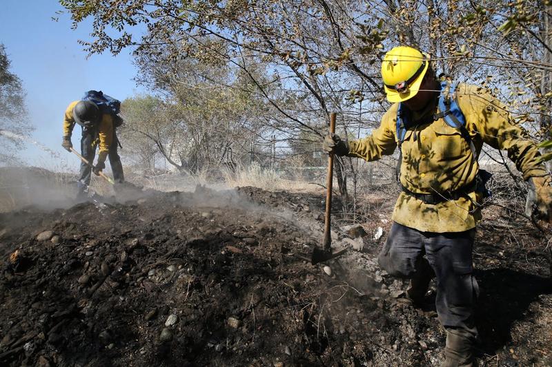 Immigration Agents Arrest Firefighters in Middle of Battling Wildfire