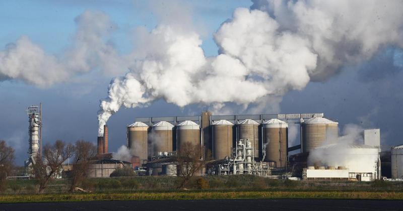 British Sugar factories set to steam into action as beet harvest nears