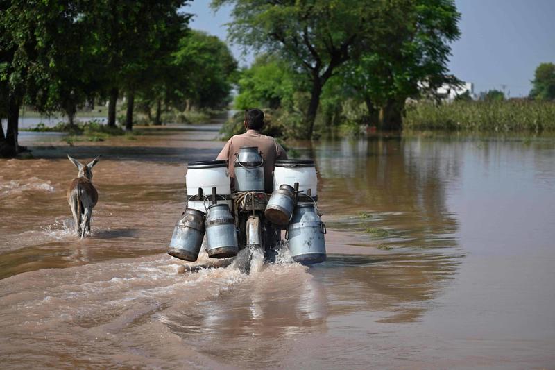 Ocultar e manipular os dados não eliminará as mudanças climáticas