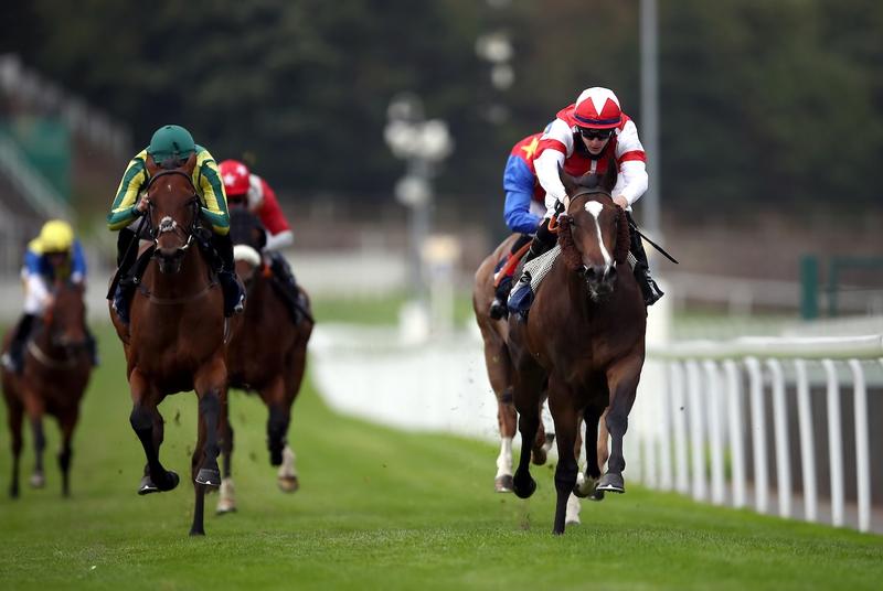Four bets for the weekend