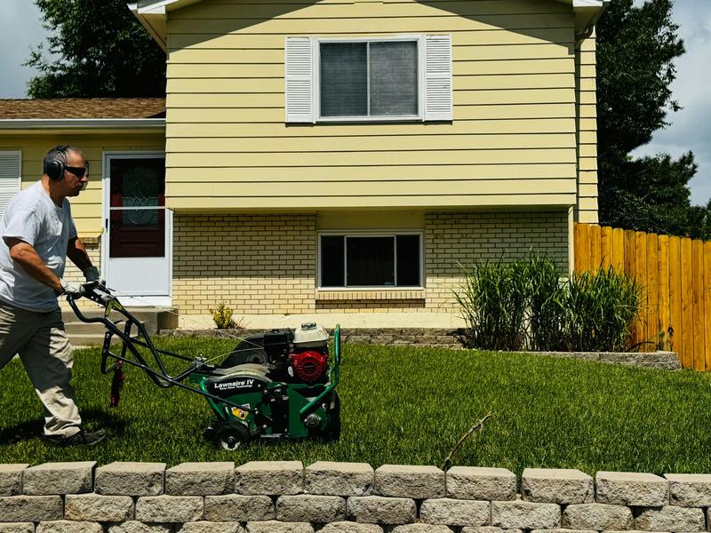 The tyranny of front gardens: we cut and trim them out of social pressure, not pleasure