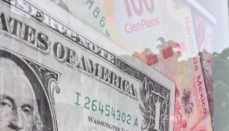 Capitalismo de ignorantes