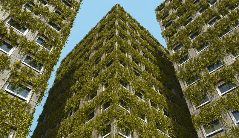 Understanding the New Paradigm of Natural Capital Investment