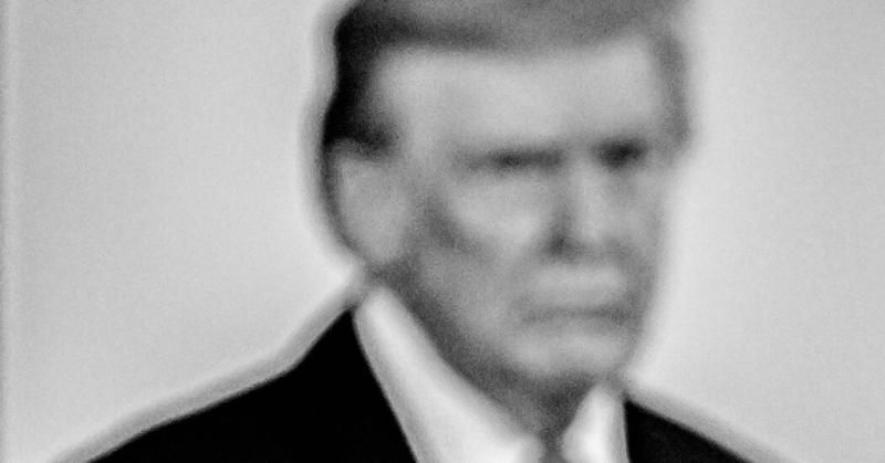 Trump Is Ruling by Willful Blindness