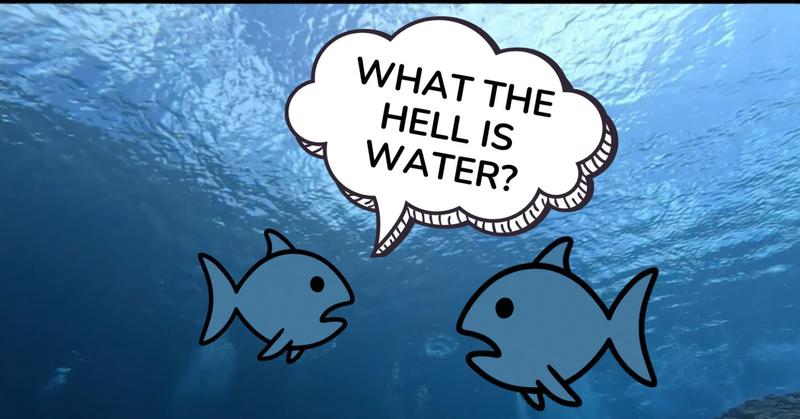 The Water We Swim In: Why Being Seen Matters More Than You Think
