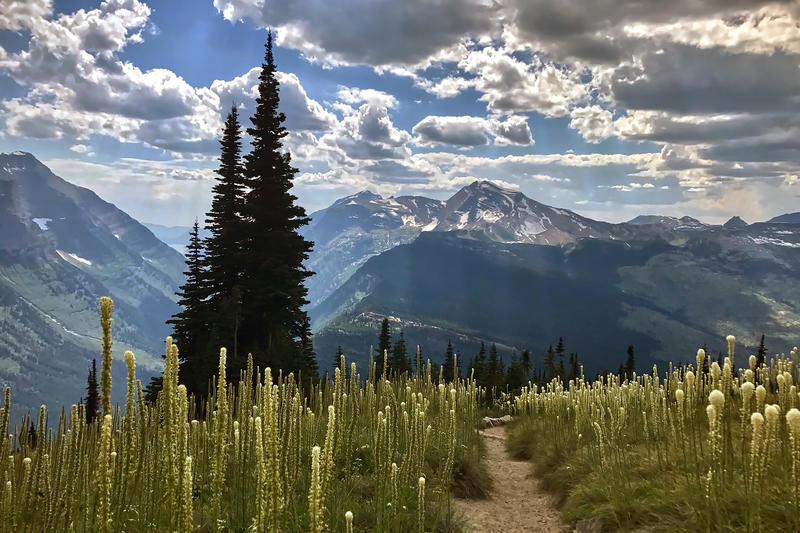 Hiker dies after 450-foot fall from popular Glacier National Park trail