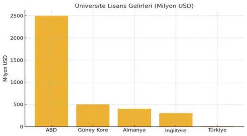 Bilgiyi üretiyoruz neden gelir üretemiyoruz?