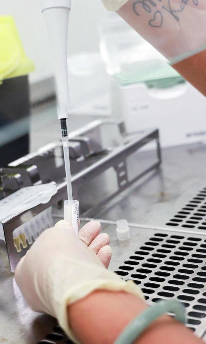 Chikungunya, 80 casi: positivo anche un 11enne