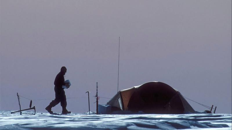 Antarctica Is in Extreme Peril