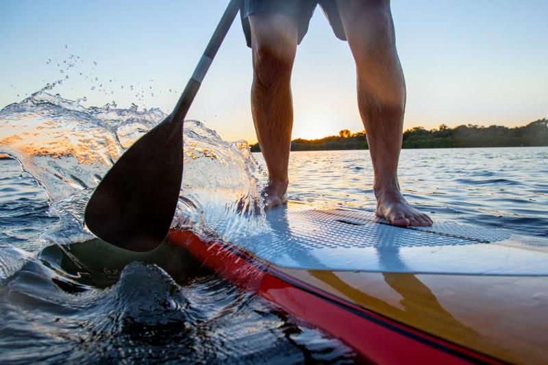 I Channelled My Inner Swamp Man for a 1,200-Mile Paddleboarding Trip