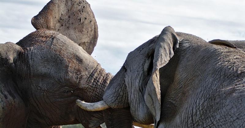 4 Reasons You’re Not Solving Your Relationship Problems